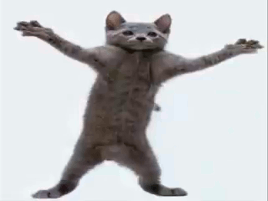 dancing cat :)
